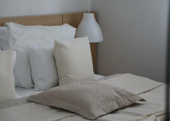 Elegant Cozy *